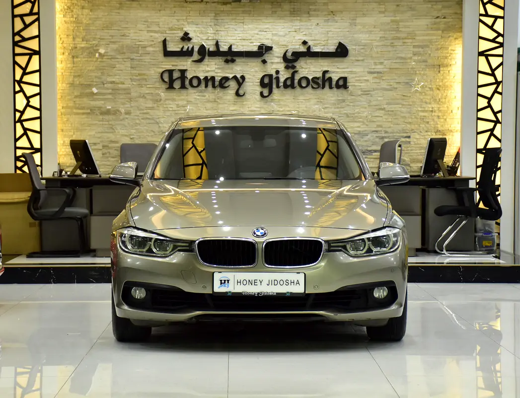 SERVICE HISTORY DATA AVAILABLE! BMW 318i ( 2016 Model ) in Brown Color GCC Specs