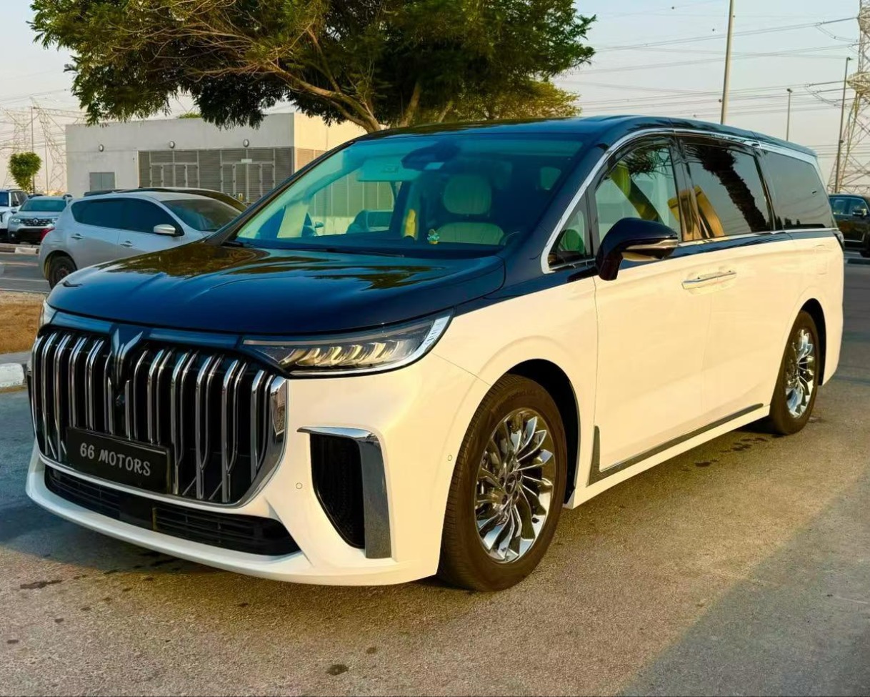 2023 VOYAH Dream Private Custom 4-Seat — 20,000 km