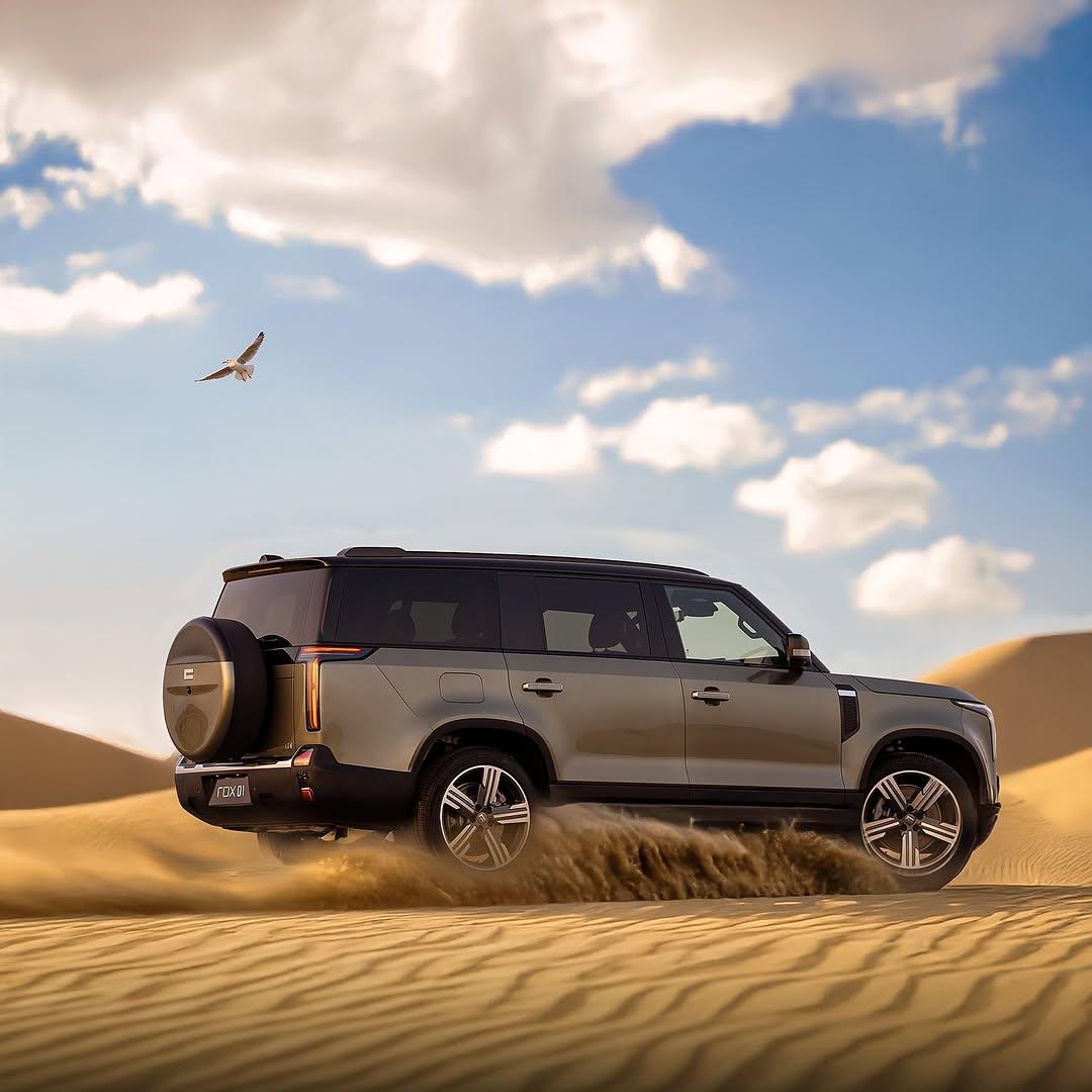 Master the dunes
